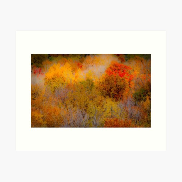 Autumn Dream Art Print