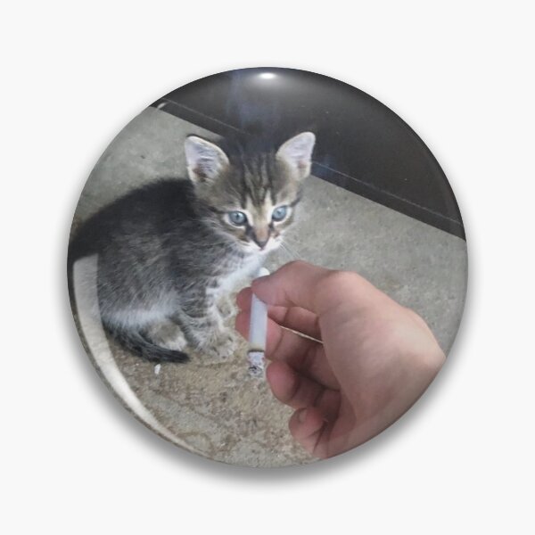 Aperçu de l'œuvre Chaton fumeur créée et vendue par Mailio.