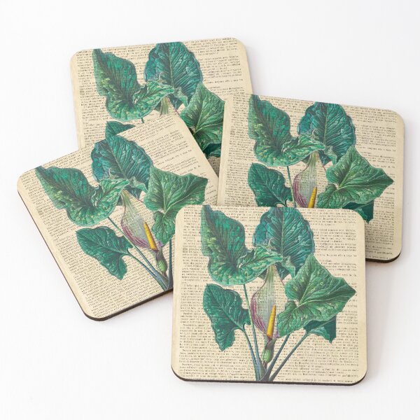 Item preview, Botanical print, on old book page - Calla Lily Flower designed and sold by Art by Lilia.