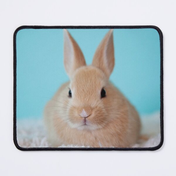 Artikelvorschau, Netter flauschiger brauner Hase entworfen und verkauft von cgroenewald.
