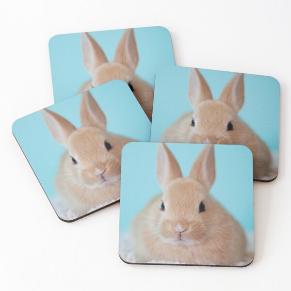 Item preview, Cute Fluffy Brown Bunny designed and sold by cgroenewald.