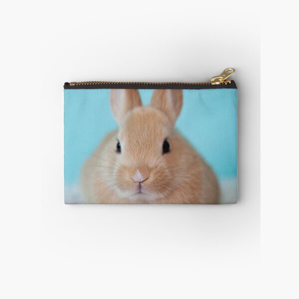 Item preview, Cute Fluffy Brown Bunny designed and sold by cgroenewald.