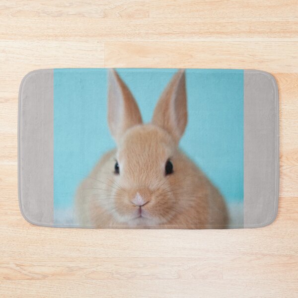 Item preview, Cute Fluffy Brown Bunny designed and sold by cgroenewald.