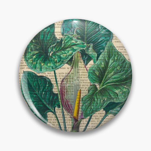 Item preview, Botanical print, on old book page - Calla Lily Flower designed and sold by Art by Lilia.