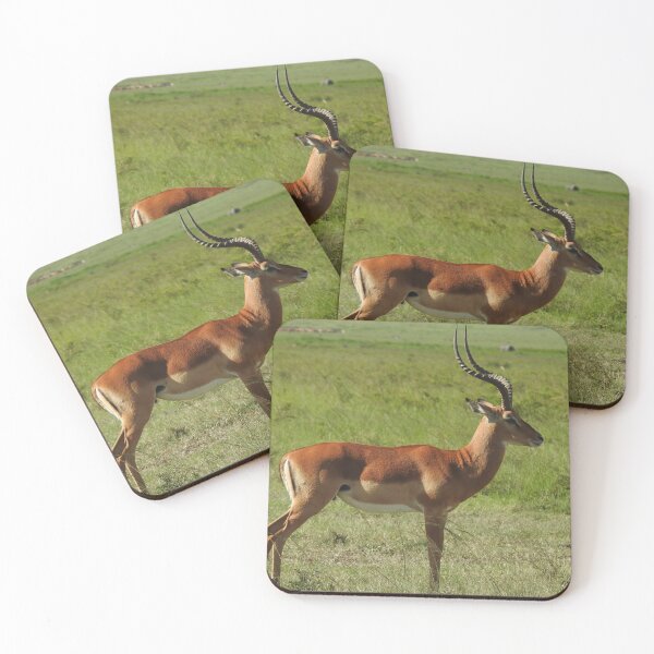 Item preview, Male Impala in the Maasi Mara designed and sold by Faunagraphy360.