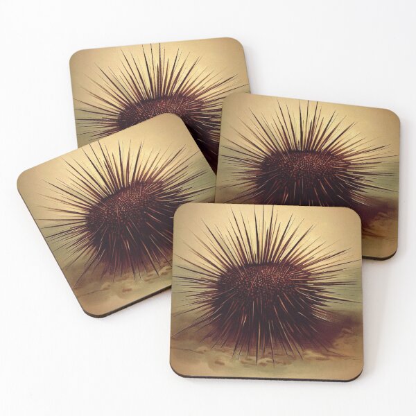 Item preview, Sea urchin designed and sold by Donkey's Salad.