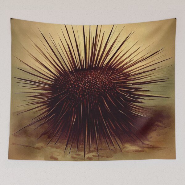 Item preview, Sea urchin designed and sold by Donkey's Salad.