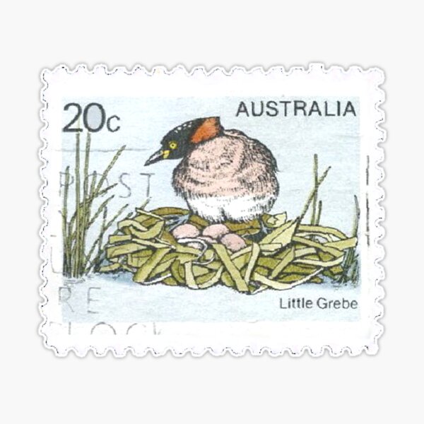 Australia Little Grebe Bird Vintage Postage Stamp Sticker for Sale by red- amber65