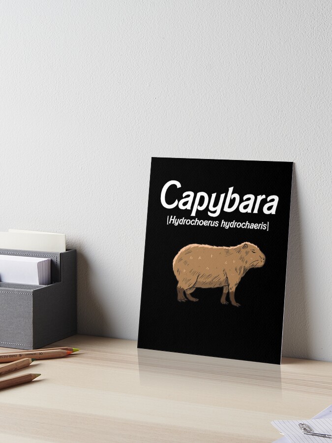 Capybara Gift Capibara Metal Plaque Poster Garage Vintage Printed Custom  Design Tin Sign Poster - AliExpress