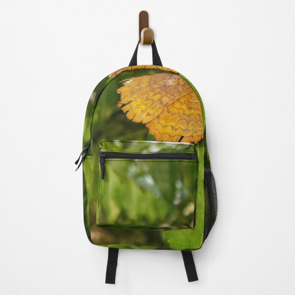 Item preview, beautiful colourful butterfly sitting on a green leaves designed and sold by anil77kiran84.