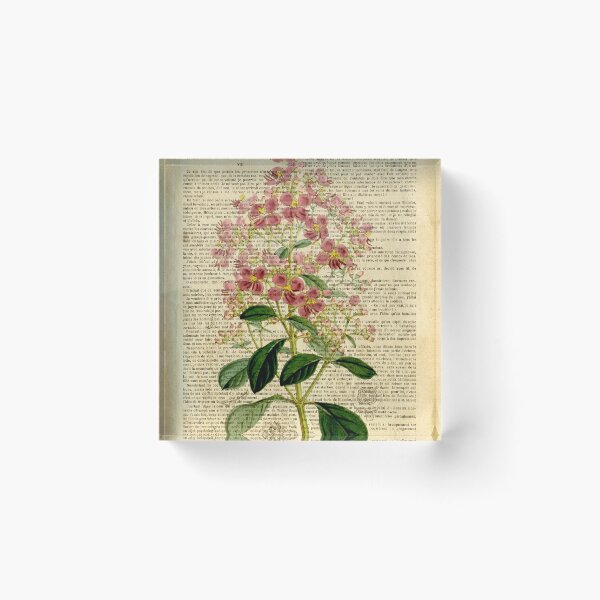 Item preview, Botanical print, on old book page - wildflower designed and sold by Art by Lilia.