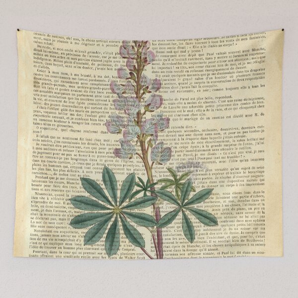 Item preview, Botanical print, on old book page - Delphinium  designed and sold by Art by Lilia.