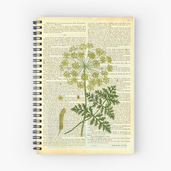 Item preview, Botanical print, on old book page - Deadly carrot designed and sold by Art by Lilia.