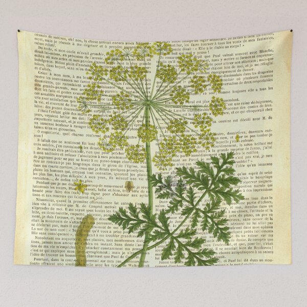 Item preview, Botanical print, on old book page - Deadly carrot designed and sold by Art by Lilia.