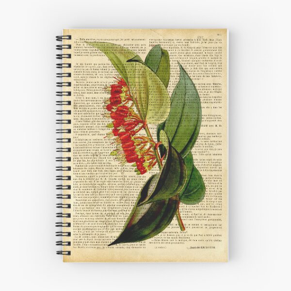 Item preview, Botanical print, on old book page designed and sold by Art by Lilia.