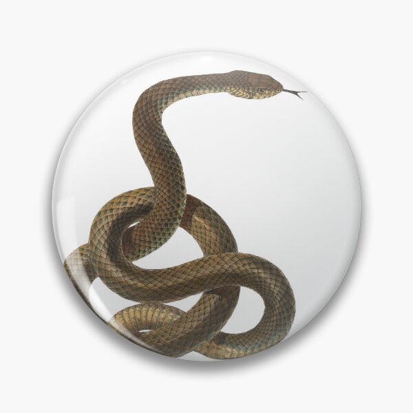 Item preview, Adder designed and sold by SIRIPHIM.