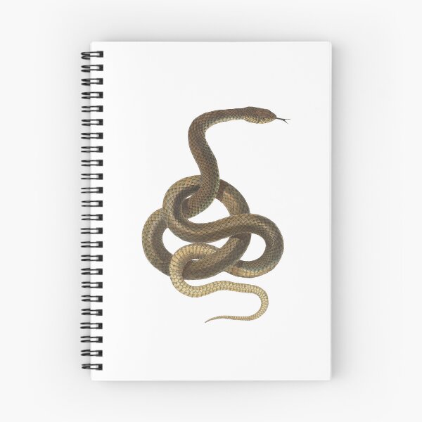 Item preview, Adder designed and sold by SIRIPHIM.