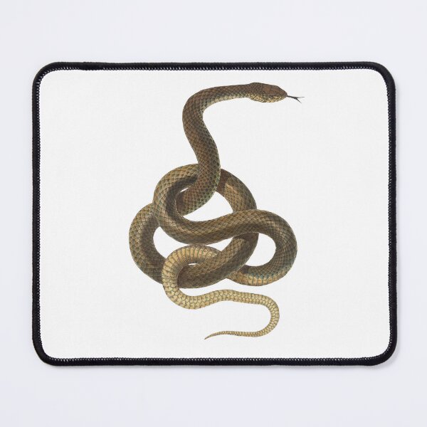 Item preview, Adder designed and sold by SIRIPHIM.