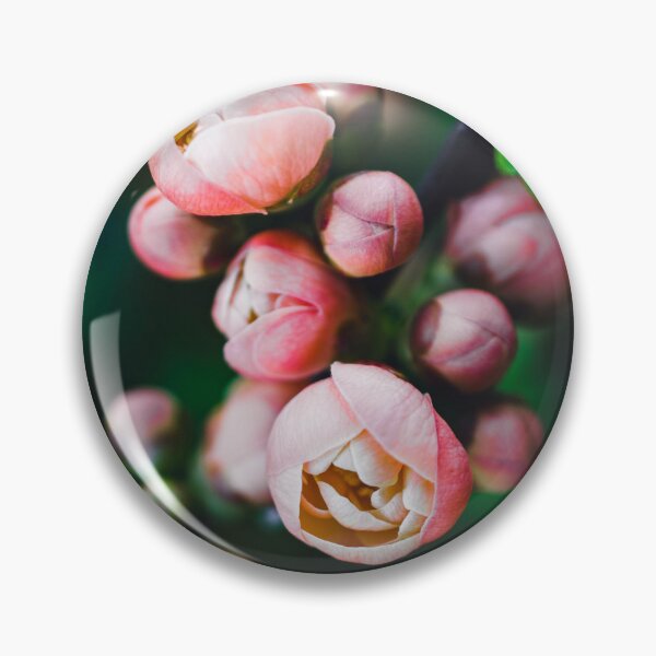 Item preview, Budding Quince Flowers designed and sold by SofiaAlves.