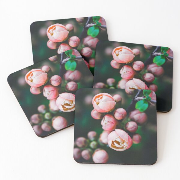 Item preview, Budding Quince Flowers designed and sold by SofiaAlves.