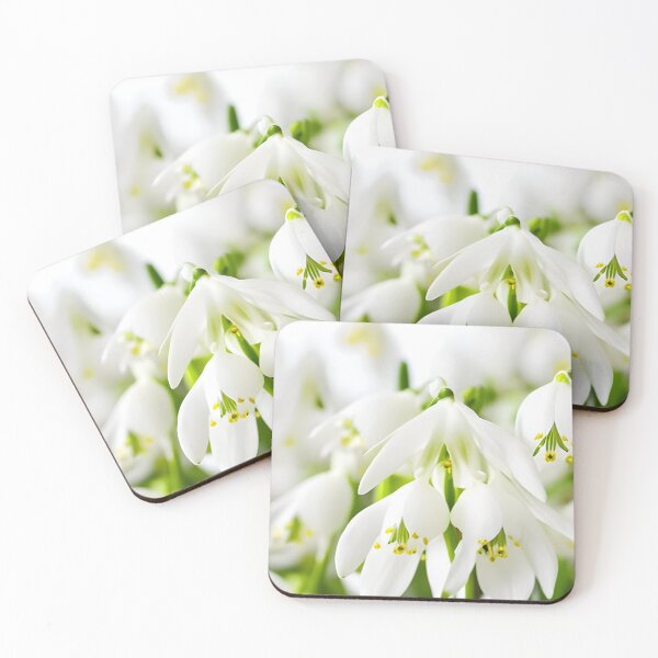 Item preview, Snowdrop (Galanthus nivalis) - gentle messenger of spring designed and sold by Rostislav Bouda.