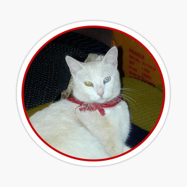 Ghost Cat Sticker