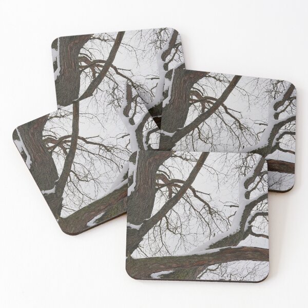 Item preview, BeautYful Arms of a Tree designed and sold by fototaker Tony.