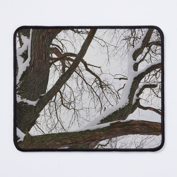 Item preview, BeautYful Arms of a Tree designed and sold by fototaker Tony.