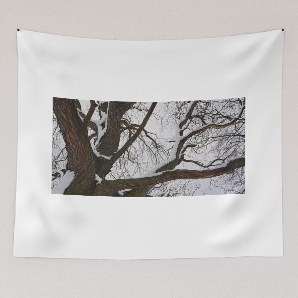 Item preview, BeautYful Arms of a Tree designed and sold by fototaker Tony.