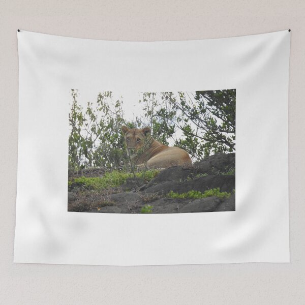 Item preview, Lioness in hiding designed and sold by Faunagraphy360.