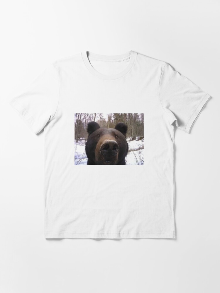 Funny bear 2024 t shirts