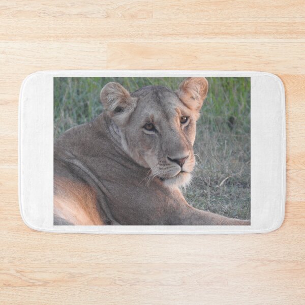 Item preview, Lioness designed and sold by Faunagraphy360.