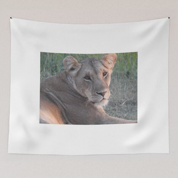 Item preview, Leona designed and sold by Faunagraphy360.