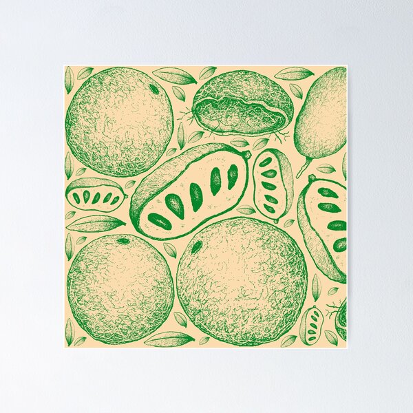 Kitchen Art| kitchen decor| Pawpaw | Vintage Pawpaw | American pawpaw | heirloom fruit | native foods Poster