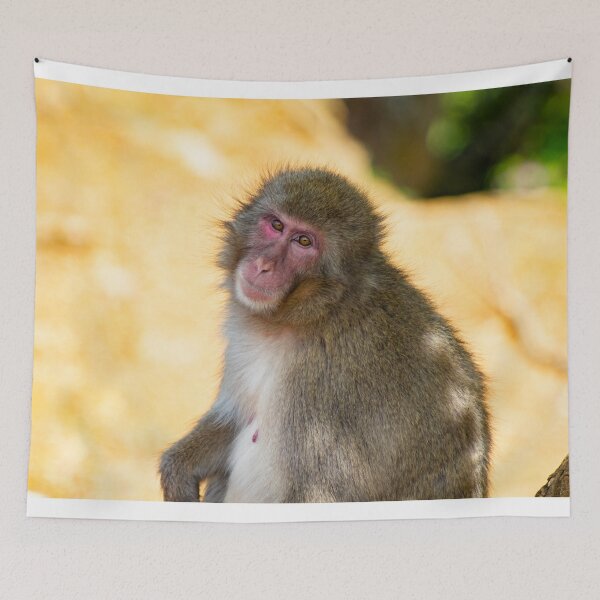 Item preview, Monkey looking at you designed and sold by Shizenkai.