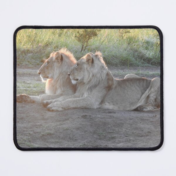 Item preview, Lion Brothers designed and sold by Faunagraphy360.
