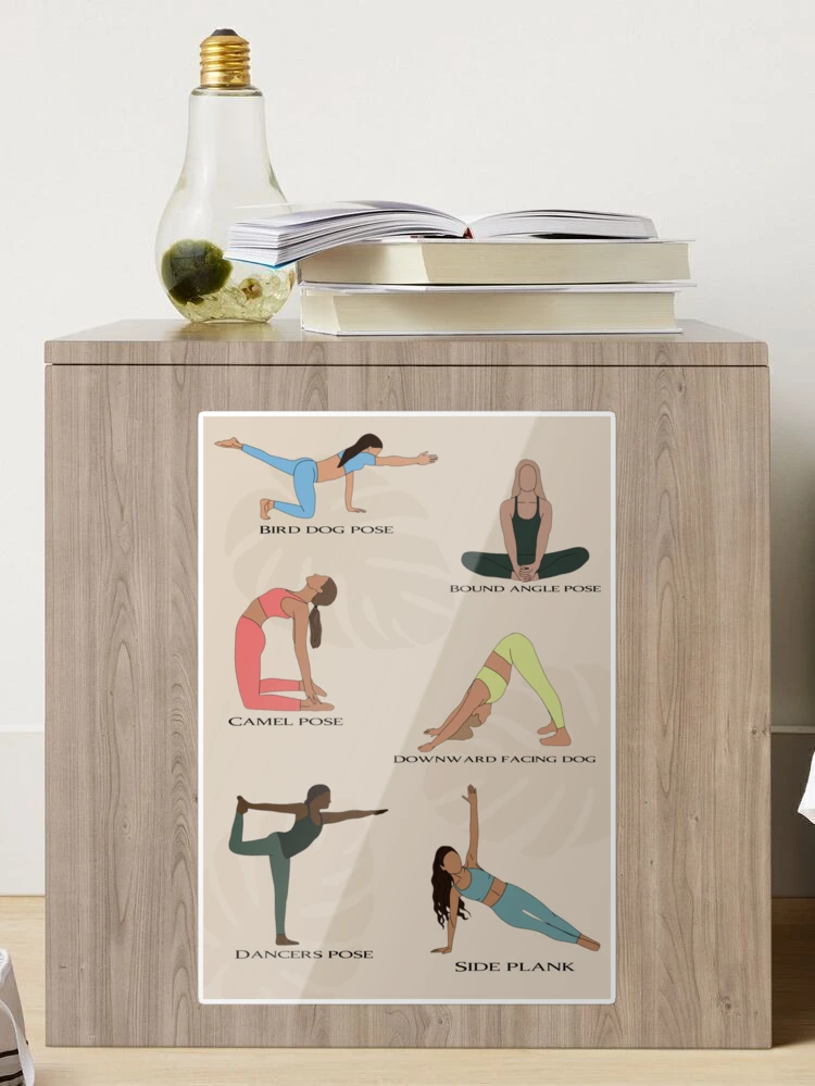 Pitaara Box Camel Pose Asana Yoga Practice, Peel & Stick Vinyl Wall  Sticker for Bedroom & Living Room