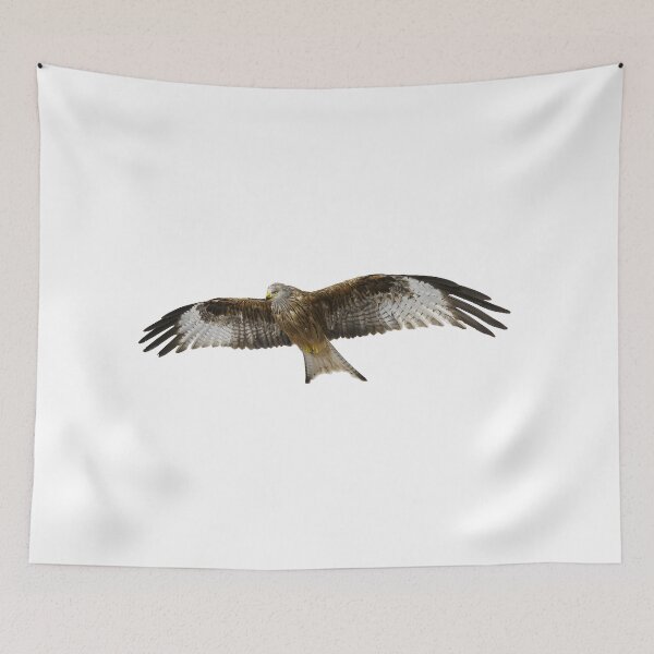Item preview, Beautiful bird designed and sold by AlbertMyra7.