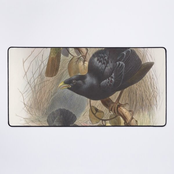 Item preview, Birds of paradise, illustration vintage designed and sold by Lacasadellora.