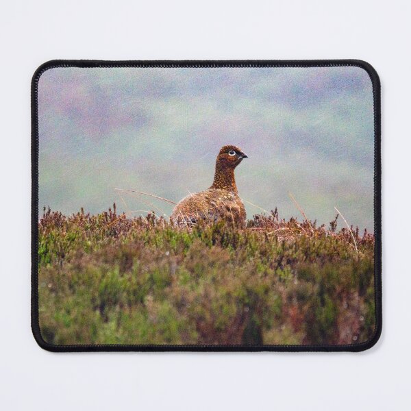 Item preview, Grouse in the rain designed and sold by Hike-and-Click.