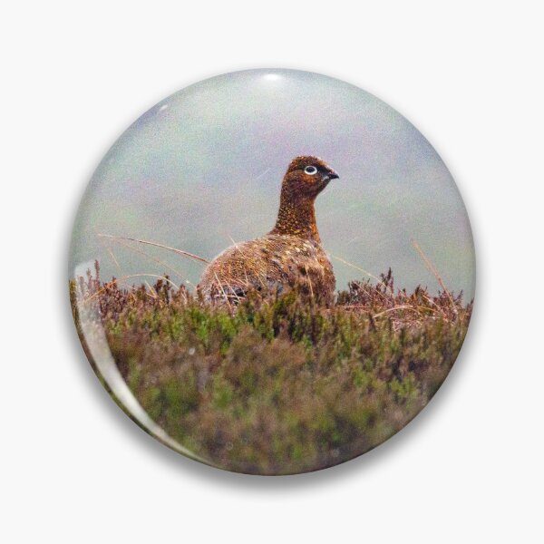Item preview, Grouse in the rain designed and sold by Hike-and-Click.