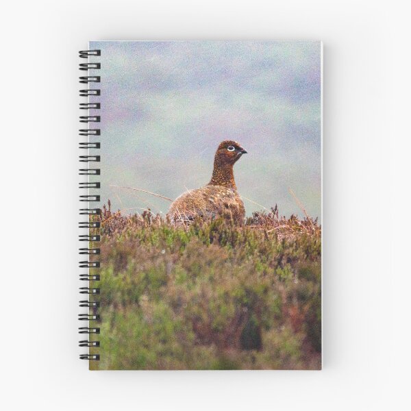 Item preview, Grouse in the rain designed and sold by Hike-and-Click.