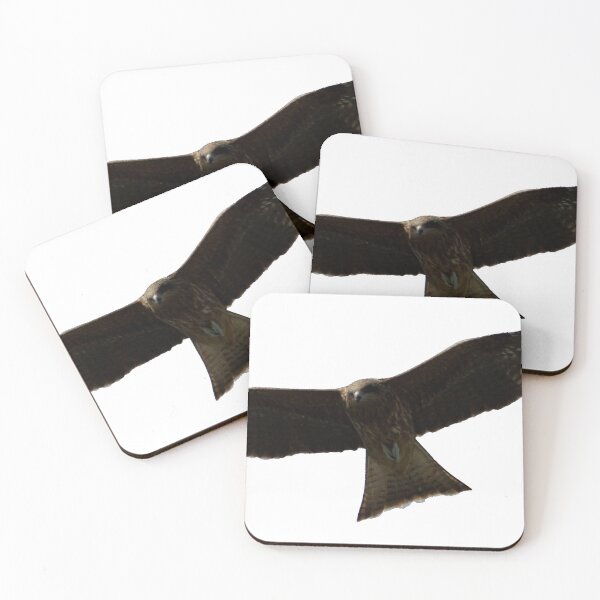 Item preview, Bird of prey in flight designed and sold by Shizenkai.