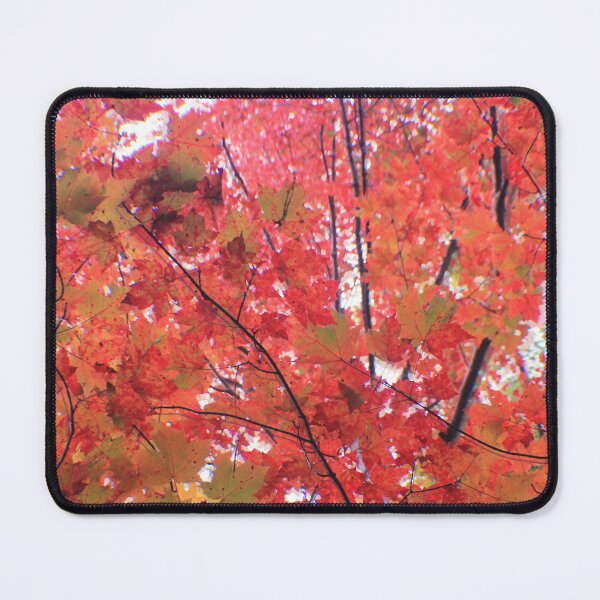 Item preview, Fall Maple Trees designed and sold by MoodySailor.
