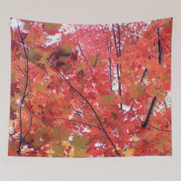 Item preview, Fall Maple Trees designed and sold by MoodySailor.