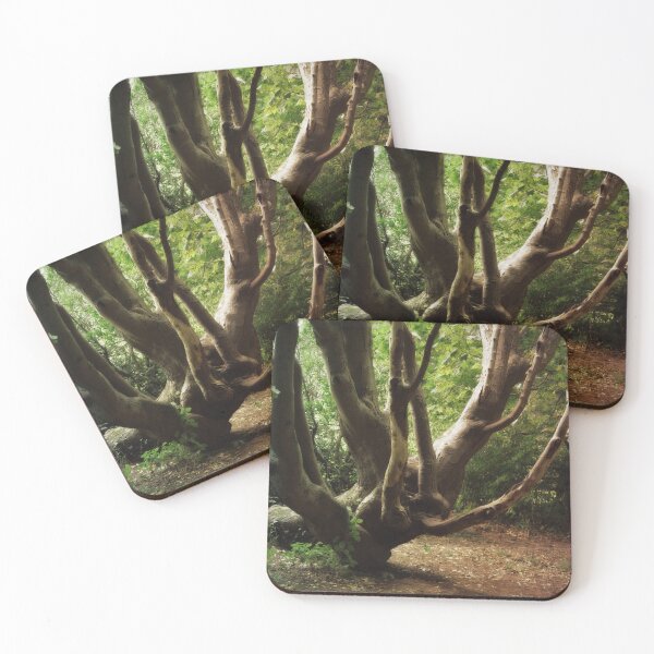 Item preview, Enchanted designed and sold by Christine Lake.