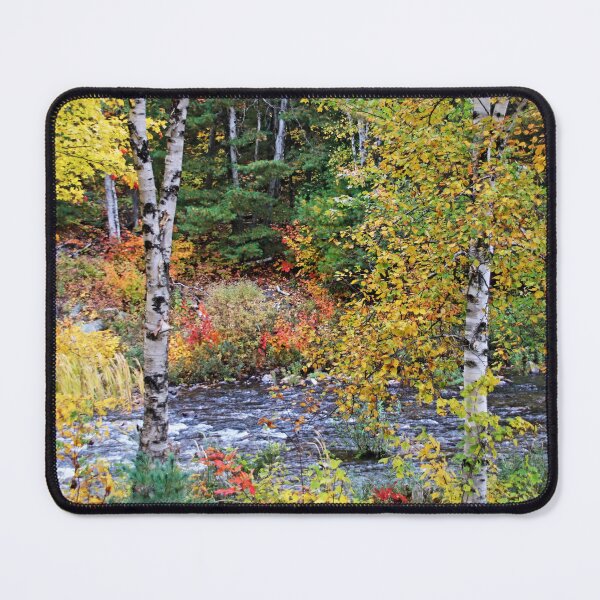 Item preview, Autumn Birch Trees designed and sold by Debbie Oppermann.
