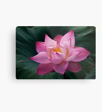 Blossom Metal Print