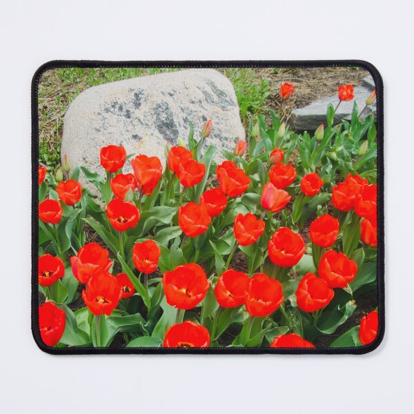 Item preview, New Tulips designed and sold by Shulie1.
