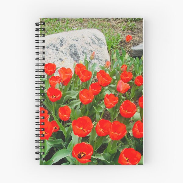 Item preview, New Tulips designed and sold by Shulie1.